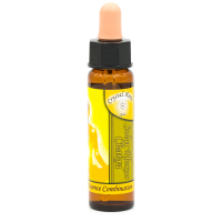 Эссенция чакры Солнечного сплетения (Solar Plexus) Манипура