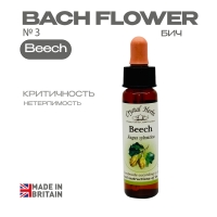 №3 Beech (Бук) Бич  - 10 мл. Англия