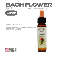 №19 Larch (Лиственница) Ларч - 10 мл. Англия №19 Larch (Лиственница) Ларч - 10 мл. Англия