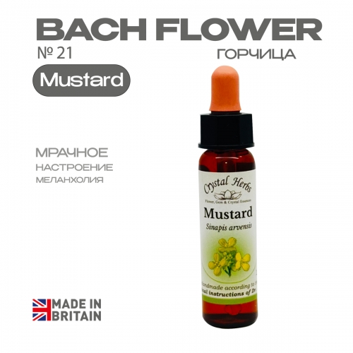 №21 Mustard (Горчица) Мастард - 10 мл. Англия, от Crystal Herbs (Великобритания)