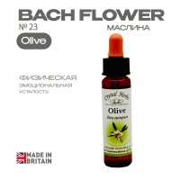 №23 Olive (Маслина) Олив - 10 мл. Англия №23 Olive (Маслина) Олив - 10 мл. Англия