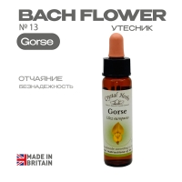 №13 Gorse (Утесник) Горс - 10 мл. Англия №13 Gorse (Утесник) Горс - 10 мл. Англия