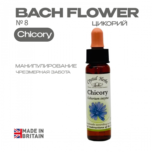 №8 Chicory (Цикорий) Чикори - 10 мл. Англия №8 Chicory (Цикорий) Чикори - 10 мл. Англия