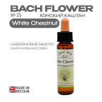 №35 White Chestnut (Конский каштан) Уайт Честнат - 10 мл. Англия №35 White Chestnut (Конский каштан) Уайт Честнат - 10 мл. Англия