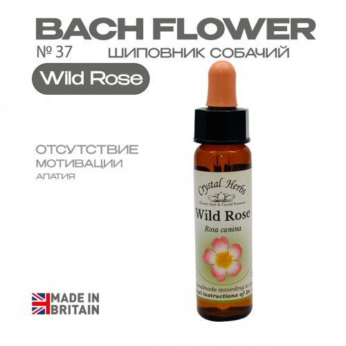 №37 Wild Rose (Шиповник собачий) Уайлд Роуз - 10 мл. Англия, от Crystal Herbs (Англия) №37 Wild Rose (Шиповник собачий) Уайлд Роуз - 10 мл. Англия, от Crystal Herbs (Великобритания)
