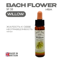 №38 Willow (Ива) Виллоу - 10 мл. Англия №38 Willow (Ива) Виллоу - 10 мл. Англия