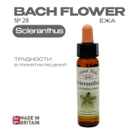 №28 Scleranthus (Ежа) Склерантус - 10 мл. Англия №28 Scleranthus (Ежа) Склерантус - 10 мл. Англия