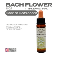 №29 Star of Веthlehem (Птицемлечник) Стар оф Вифлеем - 10 мл. Англия №29 Star of Веthlehem (Птицемлечник) Стар оф Вифлеем - 10 мл. Англия