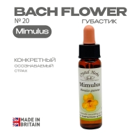 №20 Mimulus (Губастик) Мимулюс - 10 мл. Англия