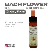№6 Cherry Plum (Вишнеслива) Черри Плам - 10 мл. Англия